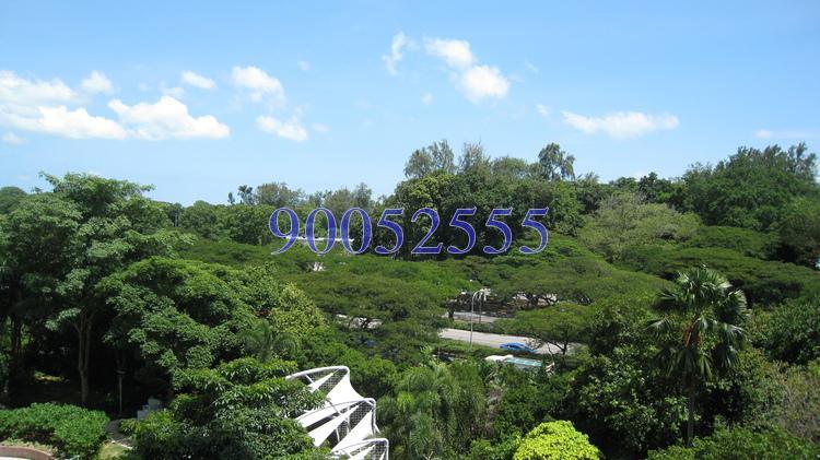 Cote D'Azur (D15), Condominium #165223792